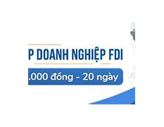 Hồ Sơ Thành Lập Fdi