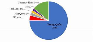 Hoa Quả Việt Nam Xuất Khẩu