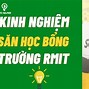 Học Bổng Rmit Bảo Nhiều Tiên 1 Tháng 6 Tháng