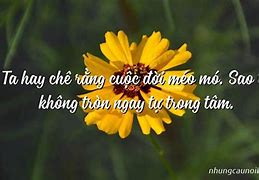 Tại Sao Ta Không Tròn Tự Trong Tâm