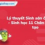 Vào Sinh Ra Tử Là Gì